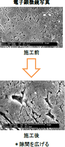 電子顕微鏡写真